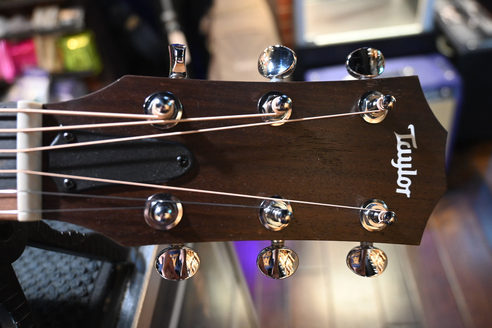 Taylor 24ce Guitar #5358 - Danville Music