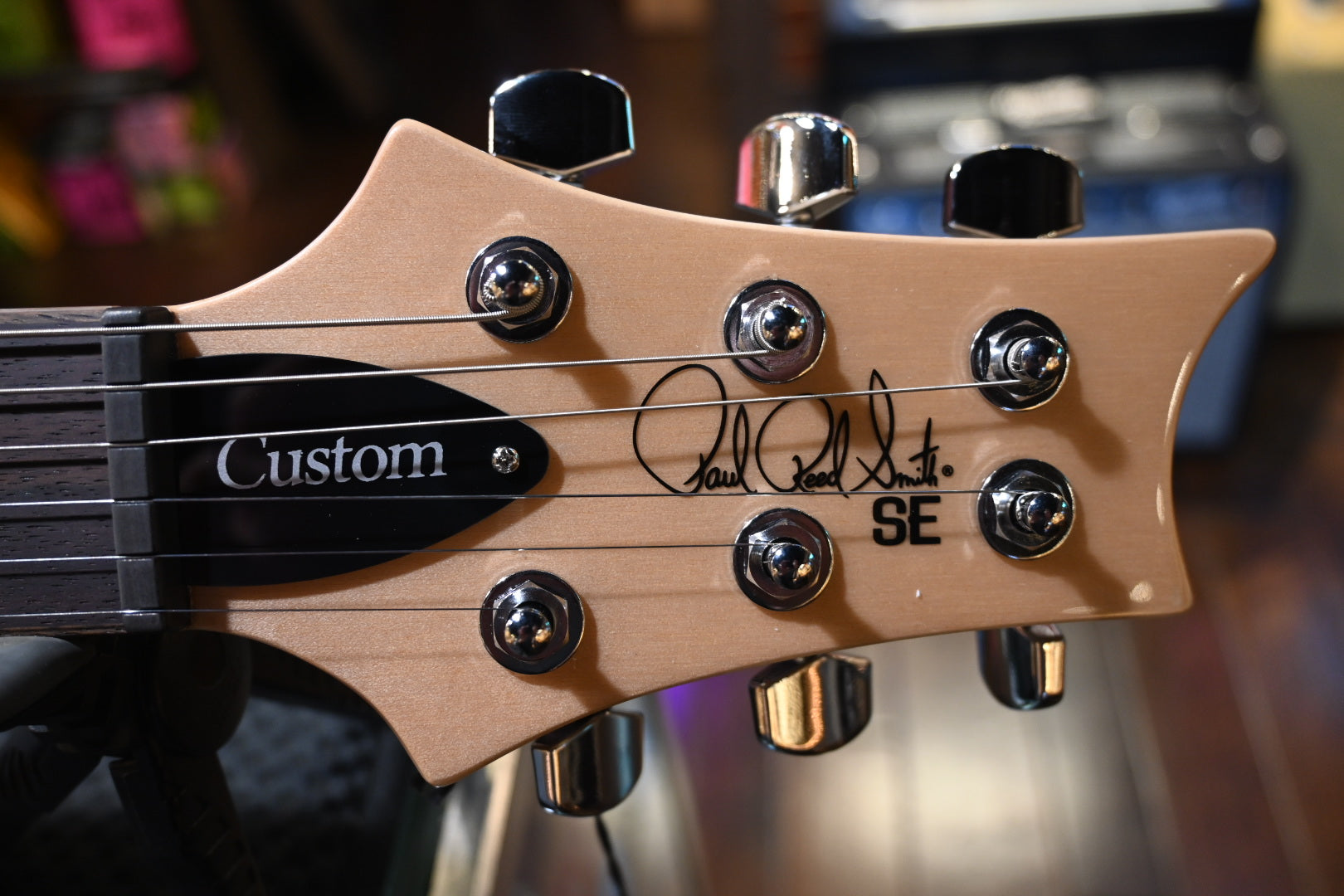 PRS SE Custom 24 Limited - Blue Fade Guitar #9841 - Danville Music