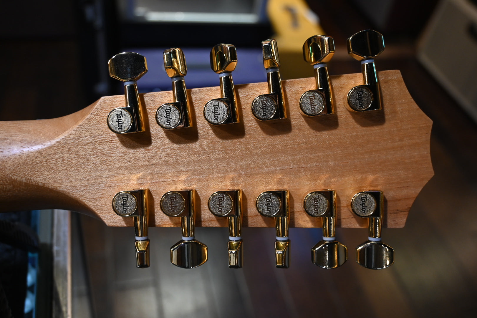 Taylor 264ce-K DLX Guitar #5468 - Danville Music