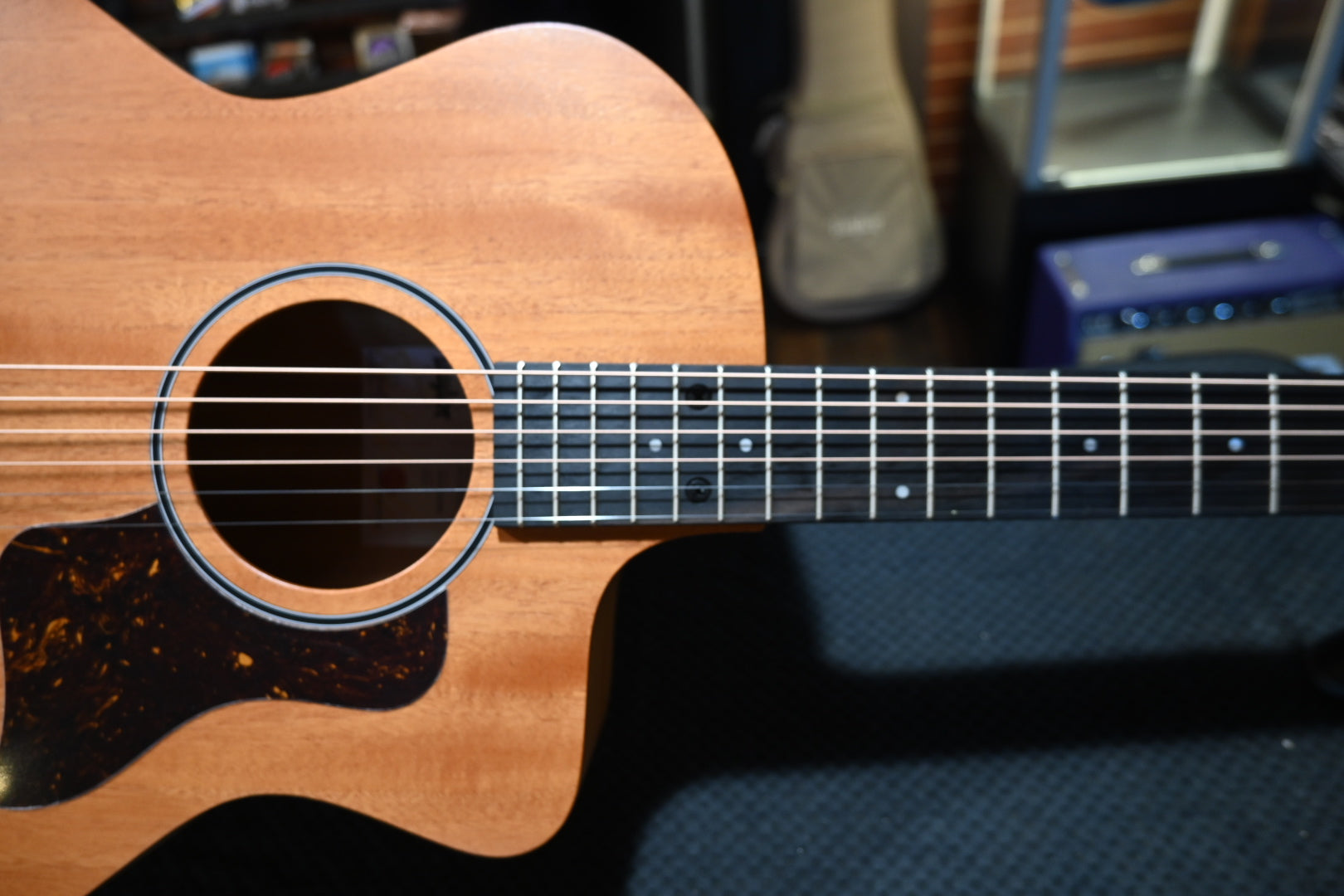 Taylor 24ce Guitar #5358 - Danville Music