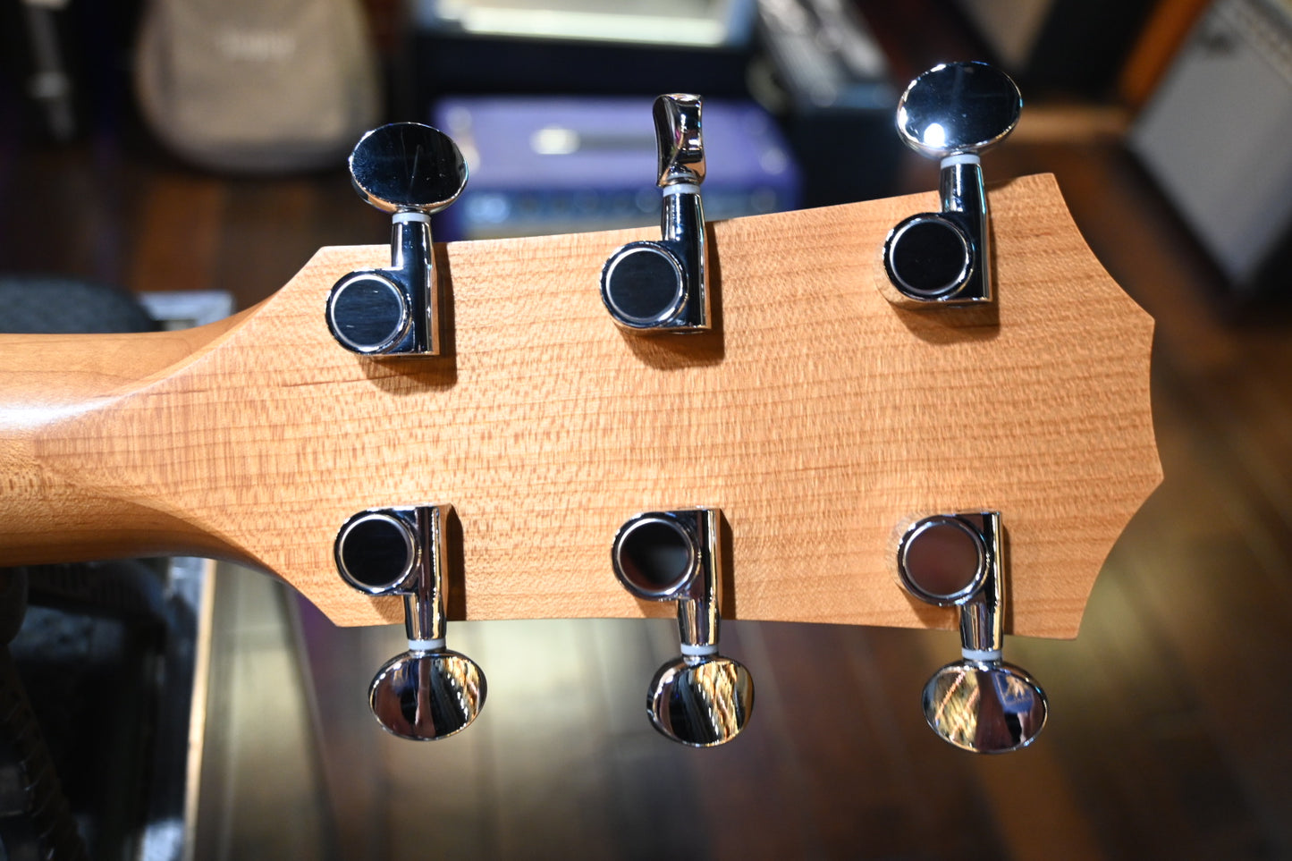 Taylor 24ce Guitar #5361 - Danville Music