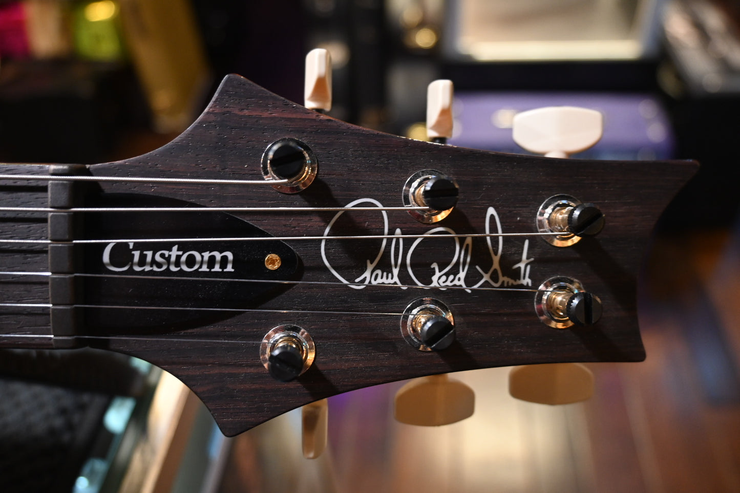 PRS Custom 24 Piezo 10-Top - Aurora Borealis Guitar #5141