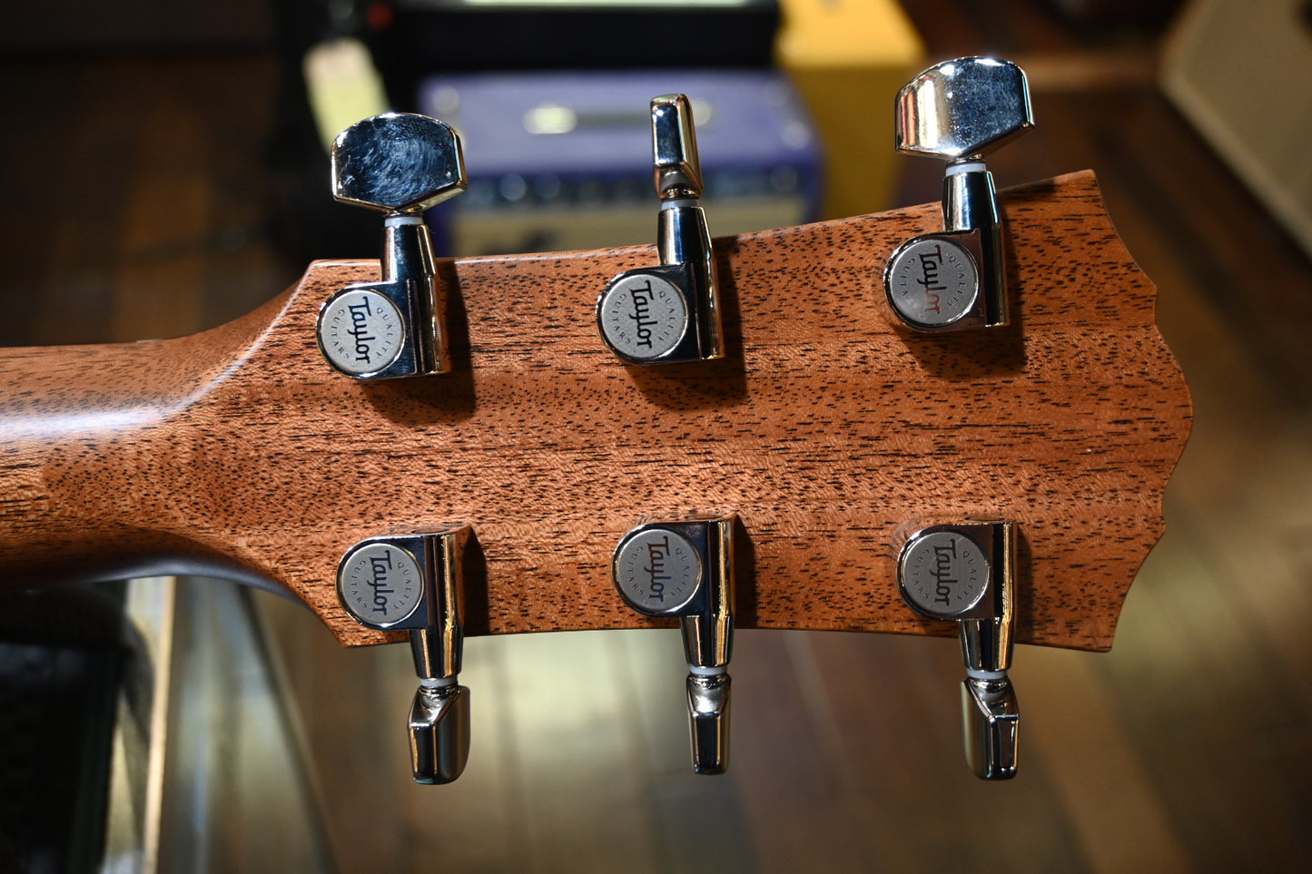 Taylor Gold Label 710e Guitar #5078 - Danville Music