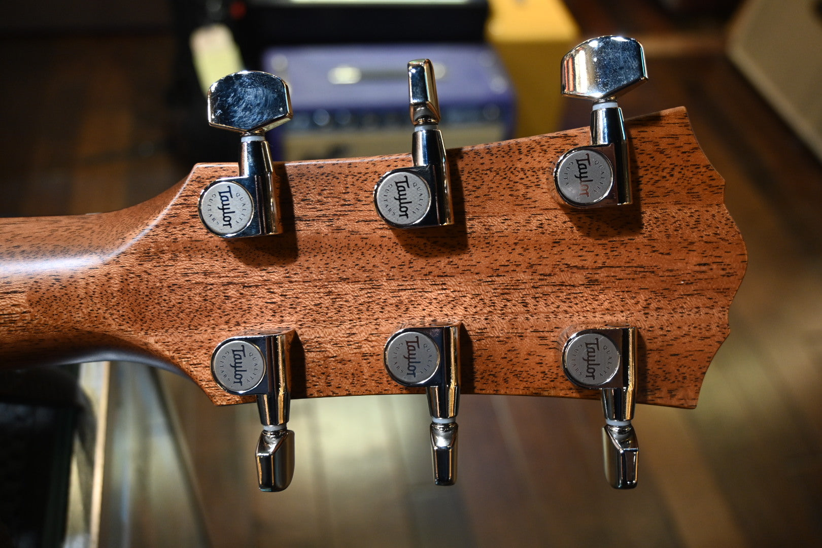 Taylor Gold Label 710e Guitar #5078 - Danville Music