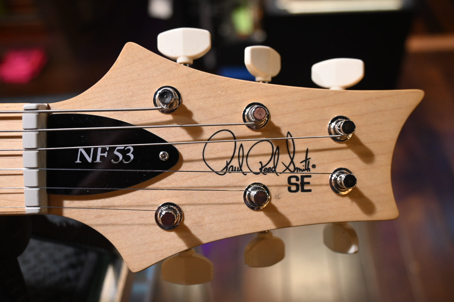 PRS SE NF53 - White Doghair Guitar #2919 - Danville Music
