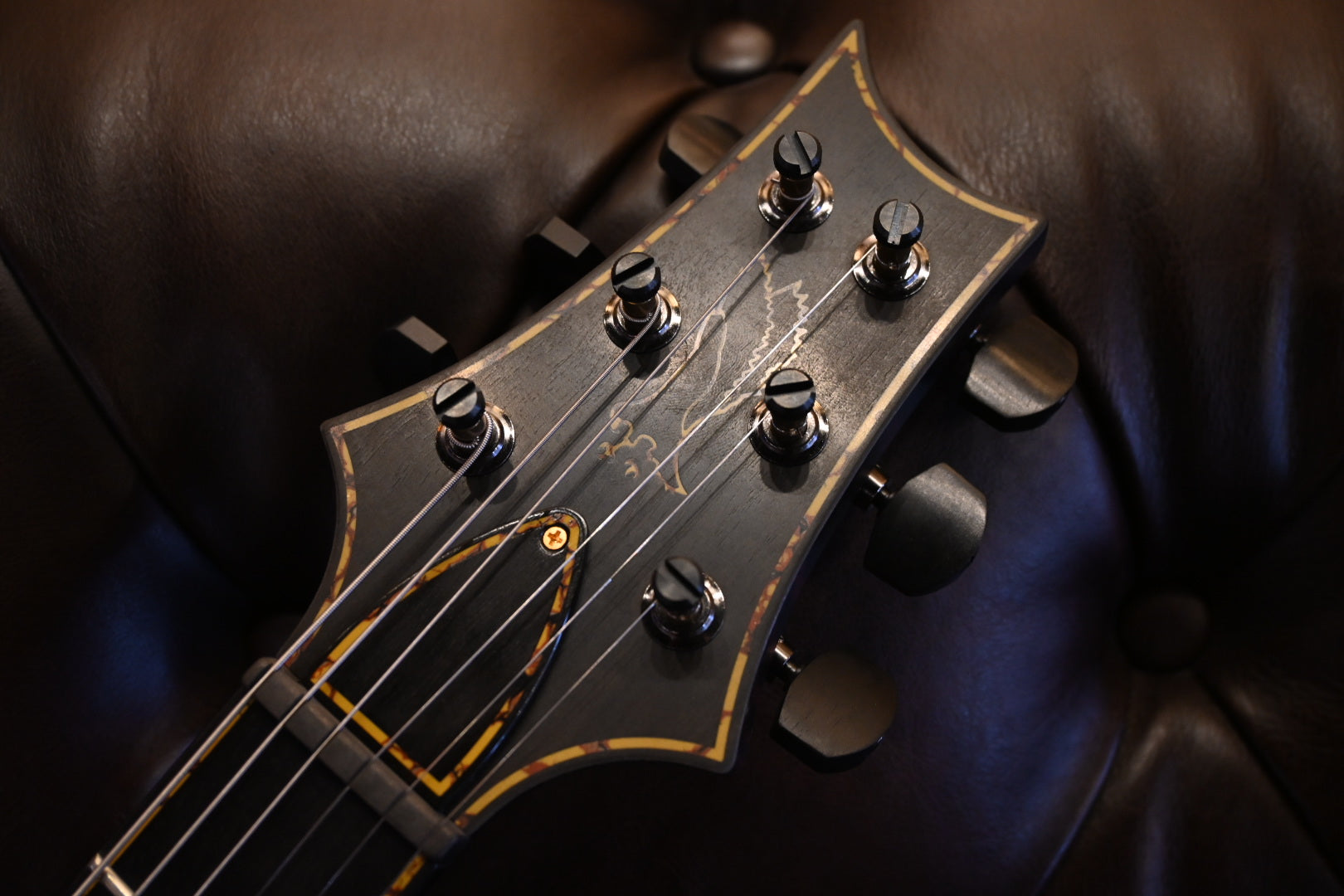 PRS Private Stock Special Semi-Hollow - Zombie Fade Satin Guitar #10776 - Danville Music