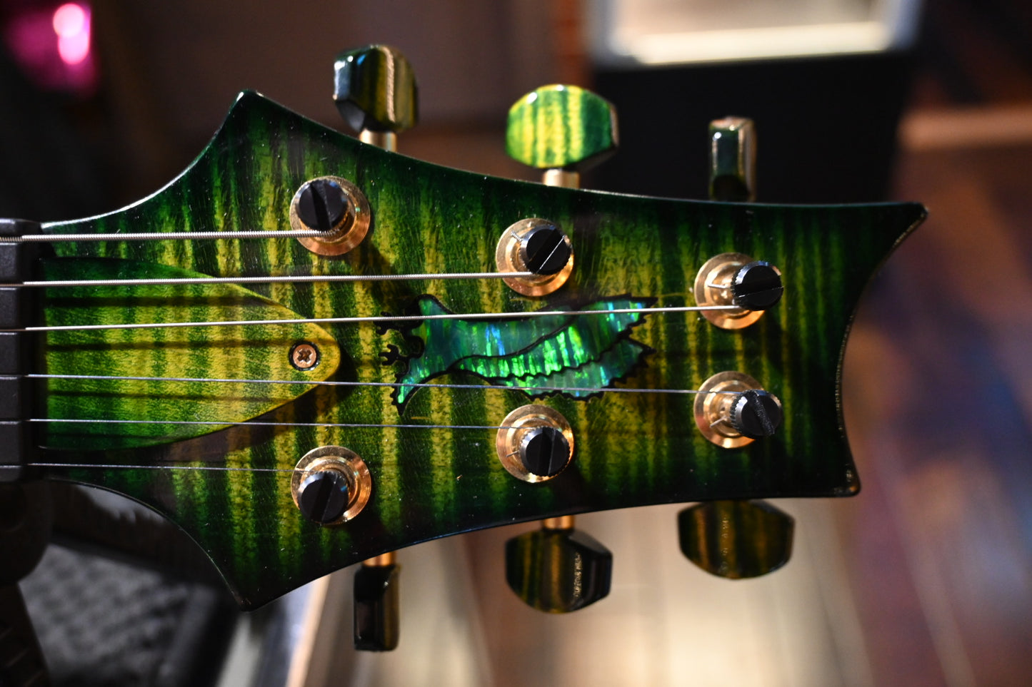 PRS Private Stock Custom 22 Piezo 2013 - Rainforest Guitar #4631