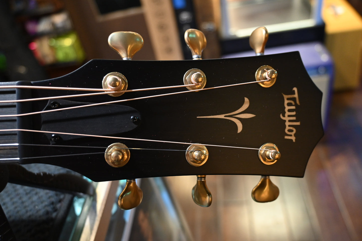 Taylor Custom Builder’s Edition GA Torrefied Spruce/AA Walnut Guitar #5081