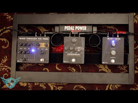 PRS Mary Cries Optical Compressor Effect Pedal