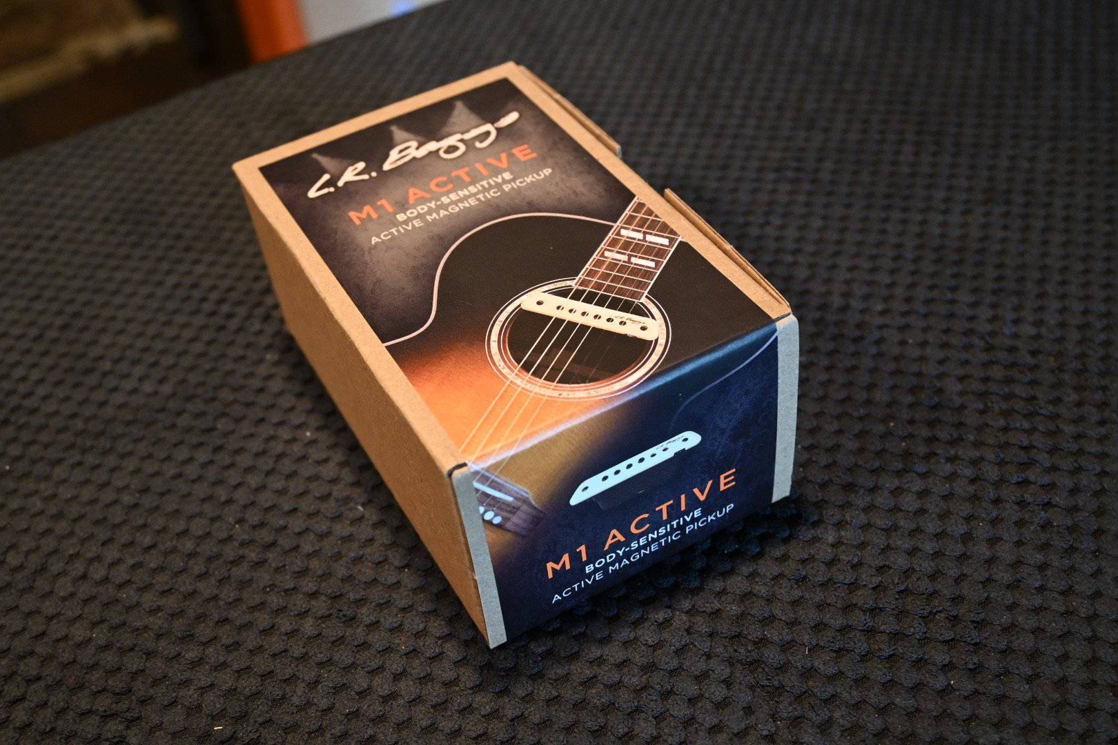 LR Baggs M1 Active Acoustic Guitar Pickup – Danville Music